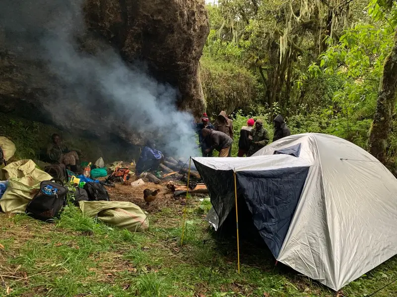camping in the forest on mount elgon