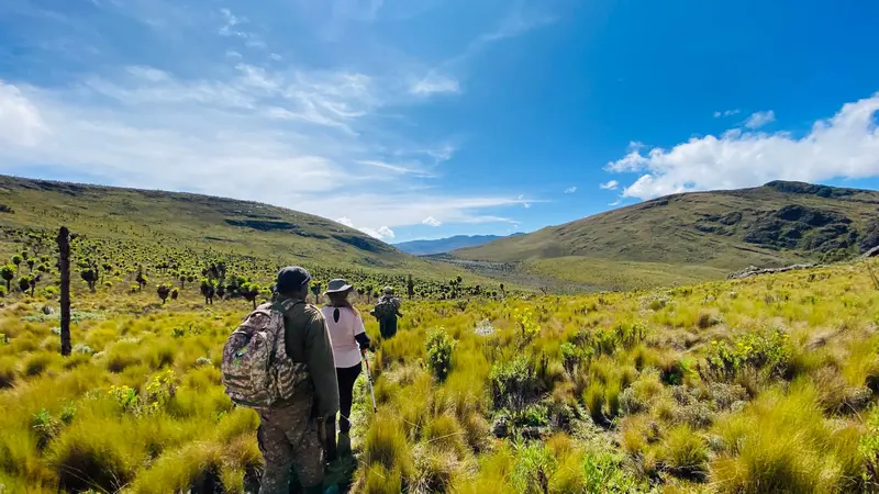 Mount Elgon Caldera Hike