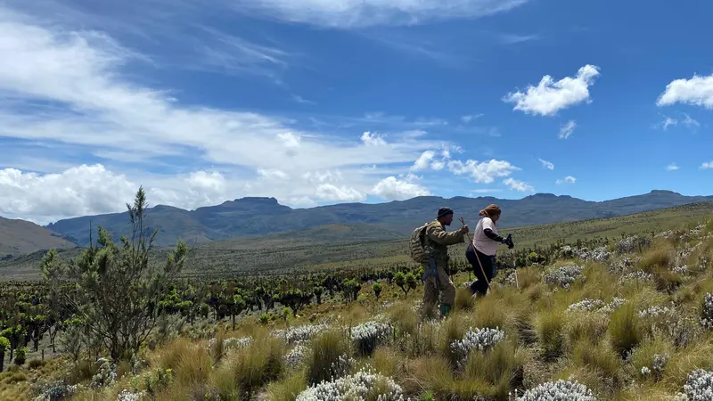 Mount Elgon trekking expedition