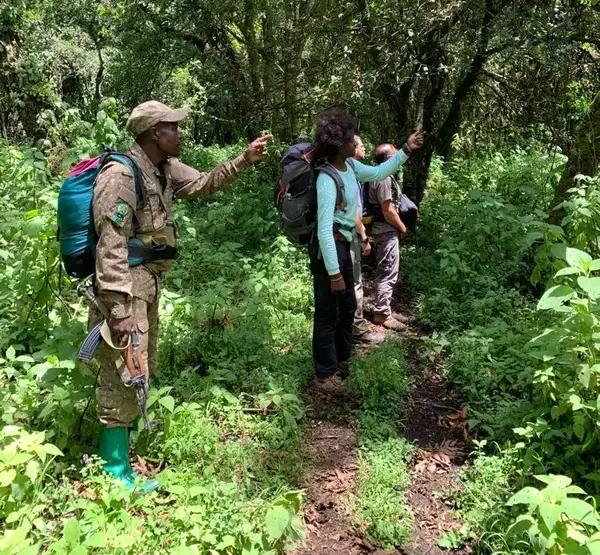 wildlife spotting on mount elgon Uganda